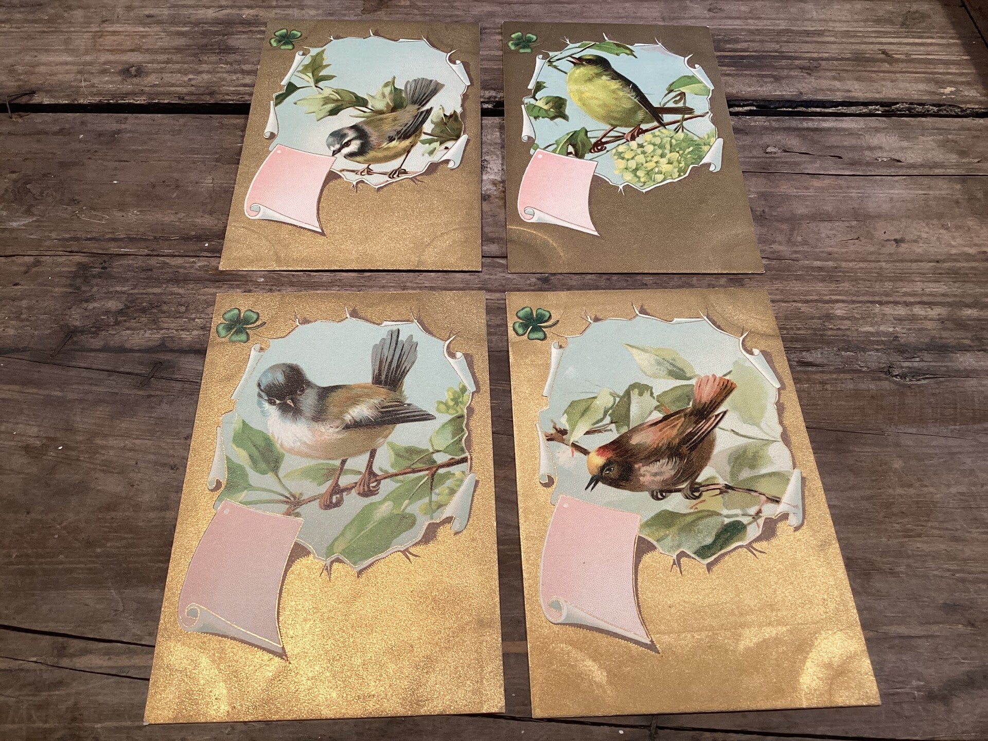 Set van 4 antieke vogelkaarten begin 1900 onbeschreven goudkleur