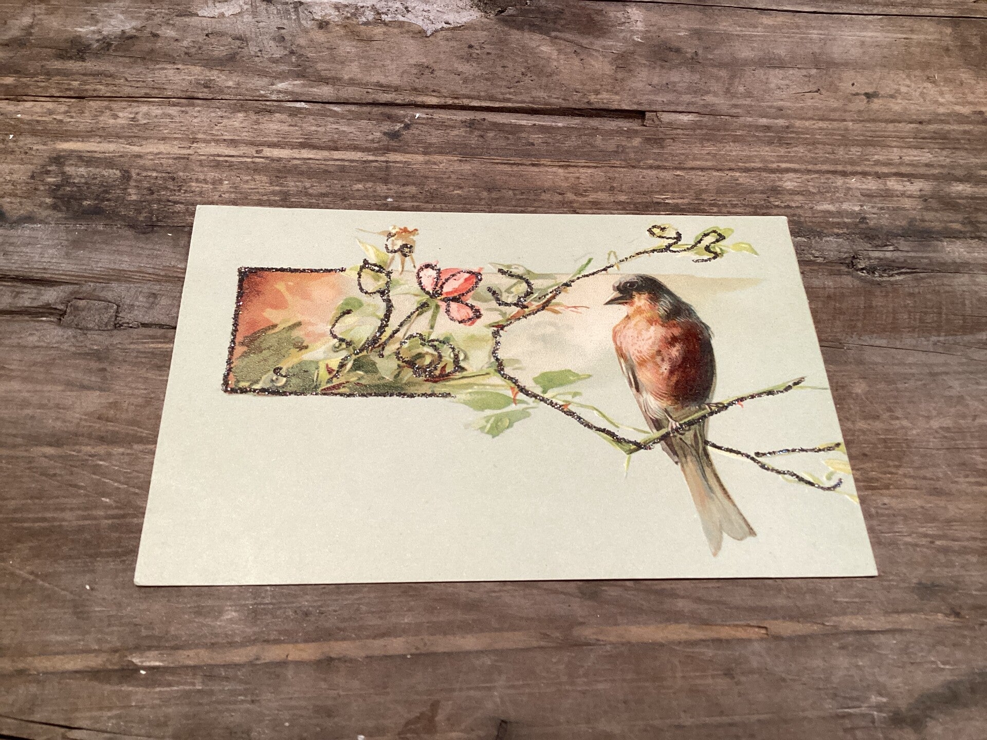 Antieke vogelkaart begin 1900 onbeschreven Zwarte glitters