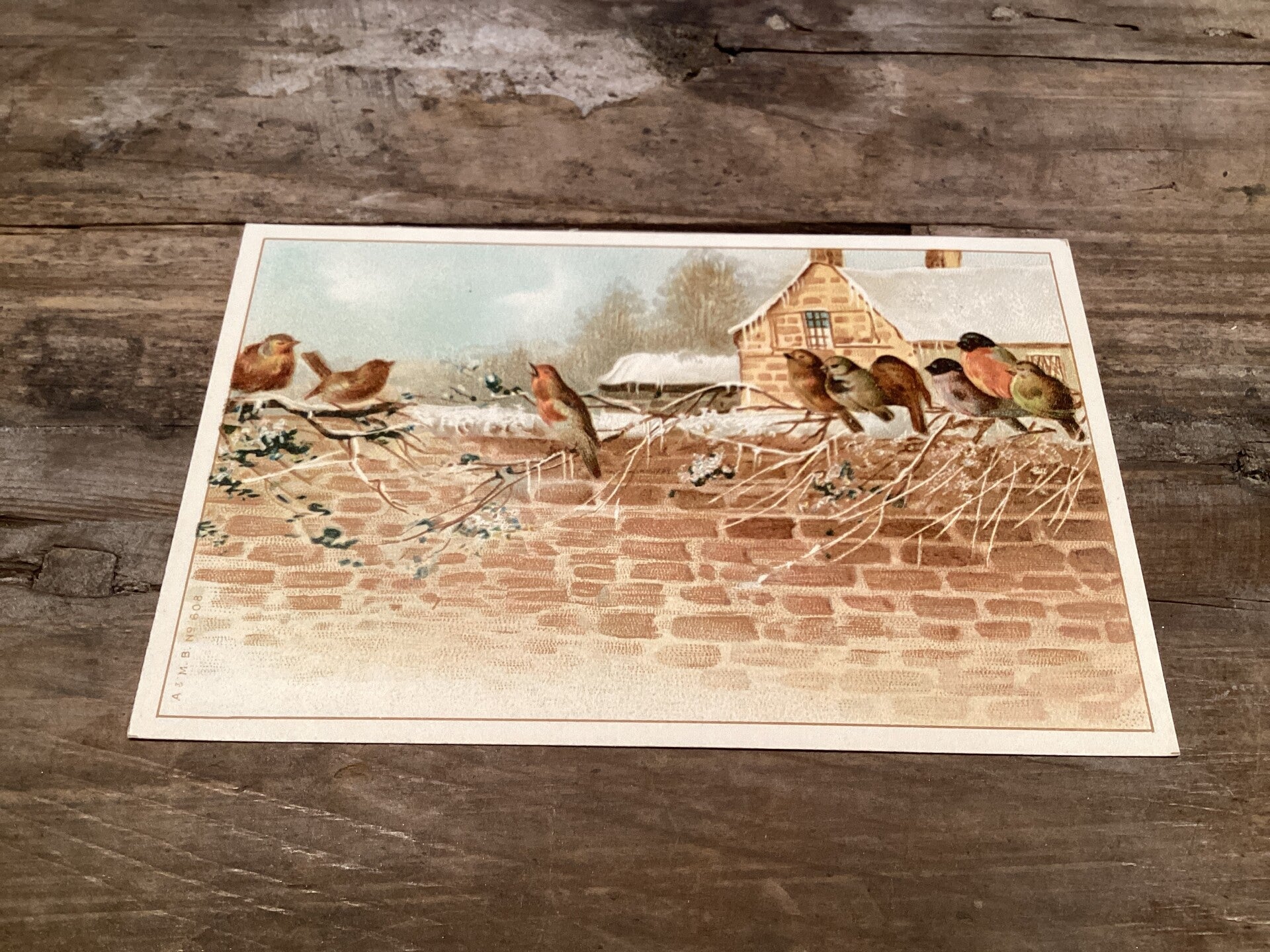 Antieke vogelkaart begin 1900 onbeschreven