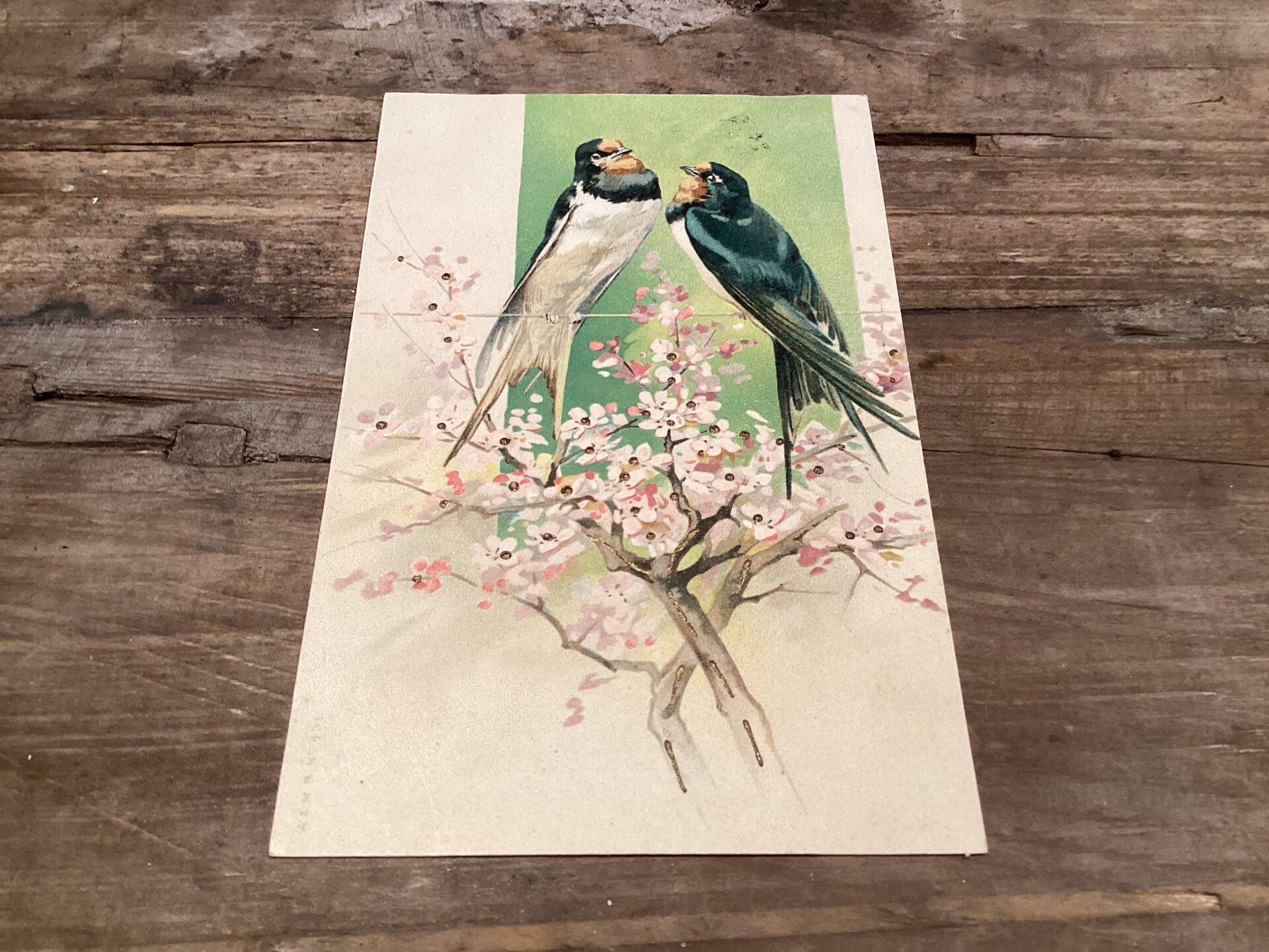 Antieke vogelkaart begin 1900 onbeschreven