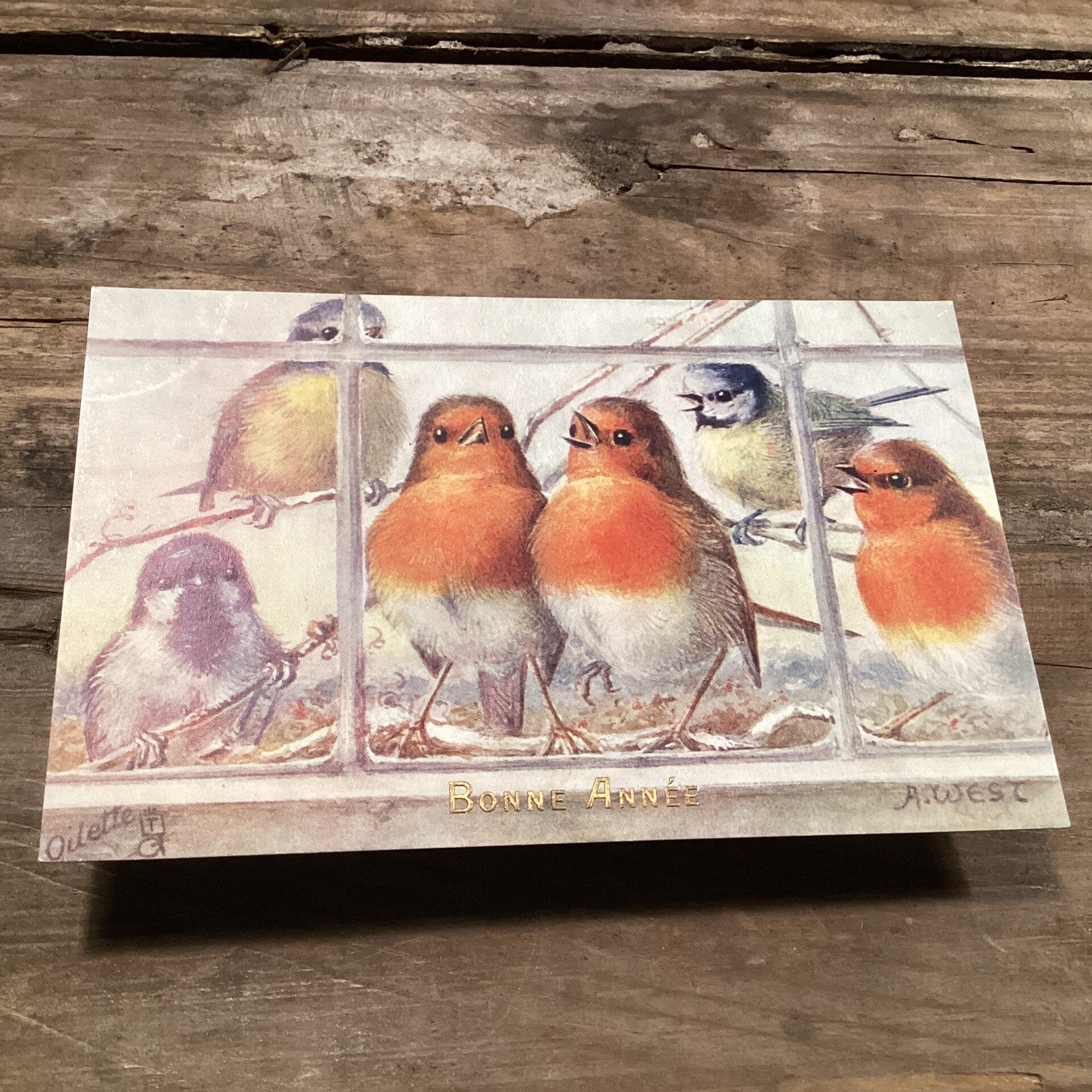 Antieke nieuwjaarskaart vogel begin 1900 onbeschreven