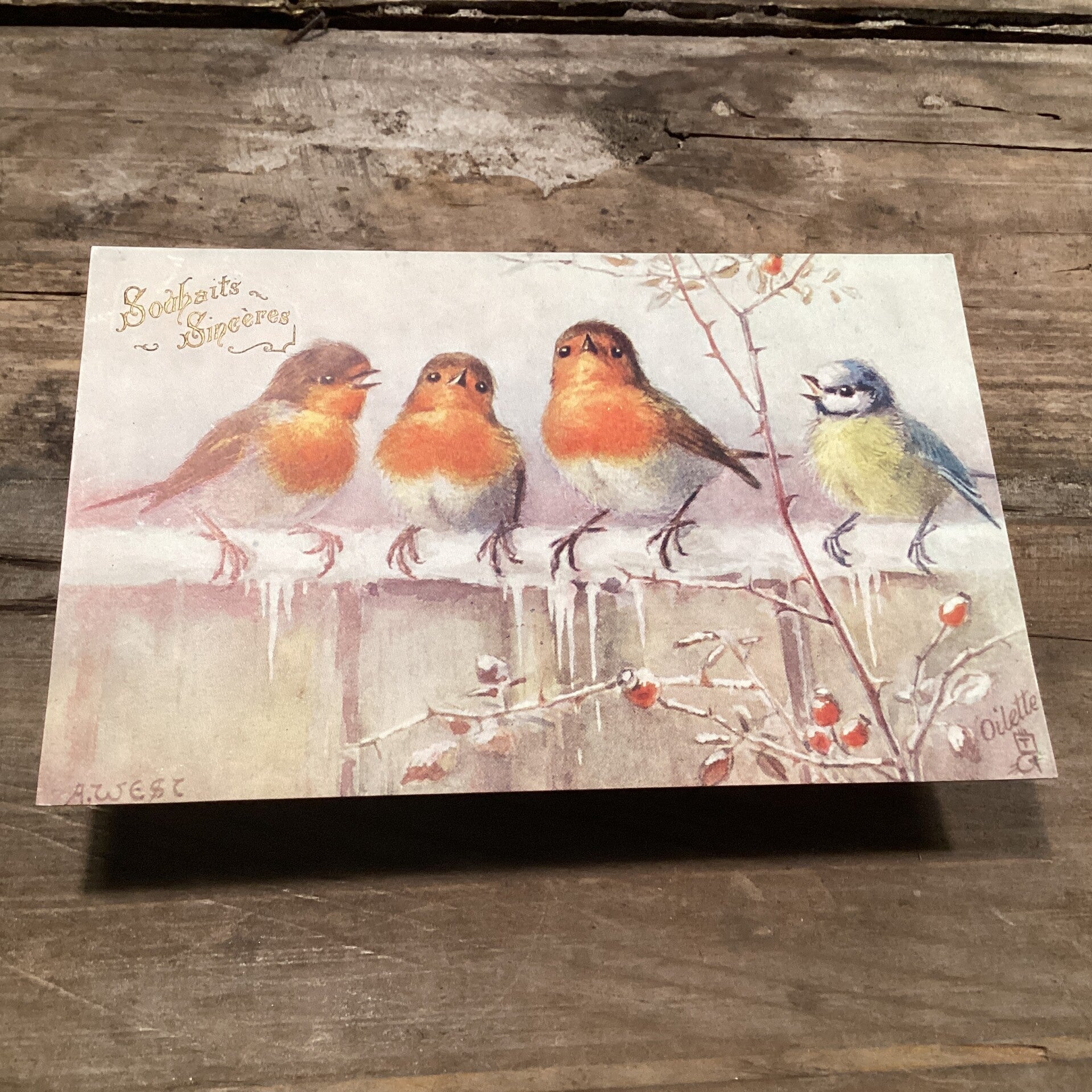 Antieke nieuwjaarskaart vogel begin 1900 onbeschreven