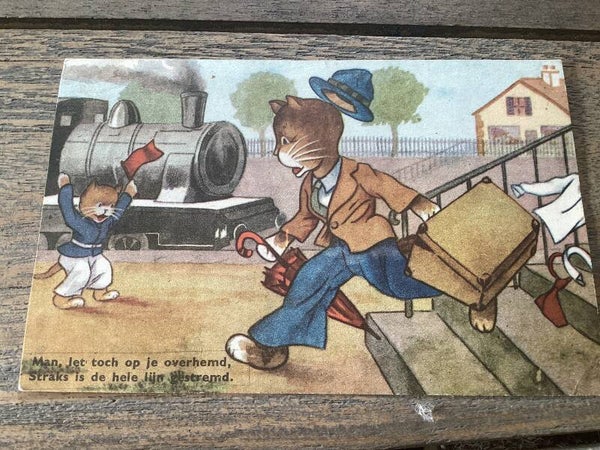 Antieke ansichtkaart poezen