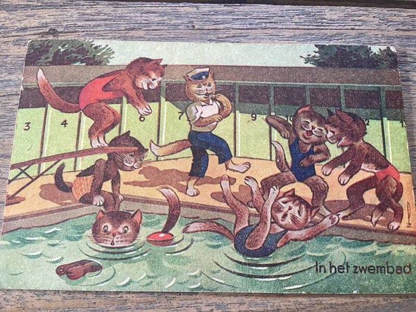 Antieke ansichtkaart poezen, 1953