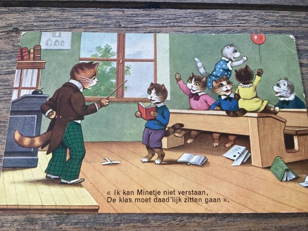 Antieke ansichtkaart poezen