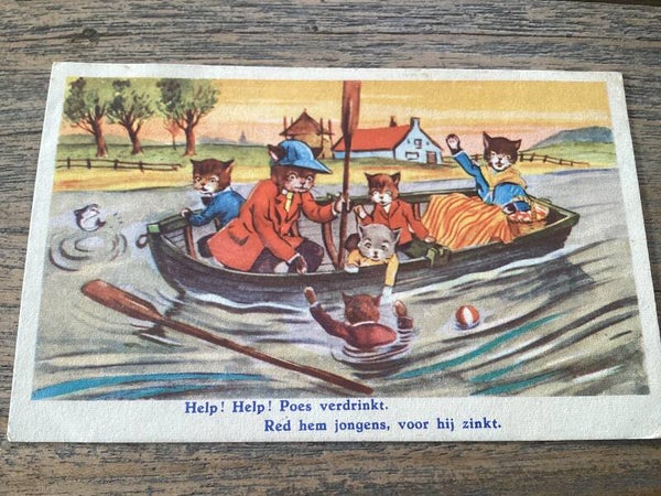 Antieke ansichtkaart poezen