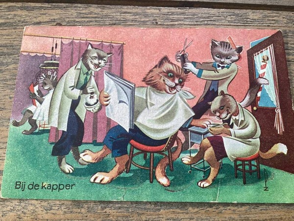 Antieke ansichtkaart poezen, kapper, 1942