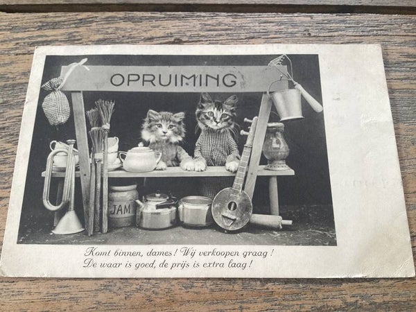 Antieke ansichtkaart poezen, 1935