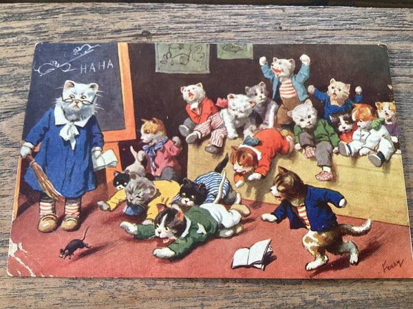 Antieke ansichtkaart poezen