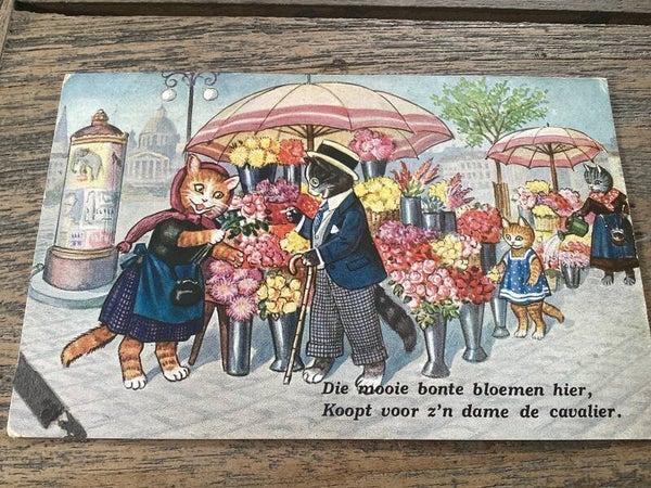 Antieke ansichtkaart poezen, 1937