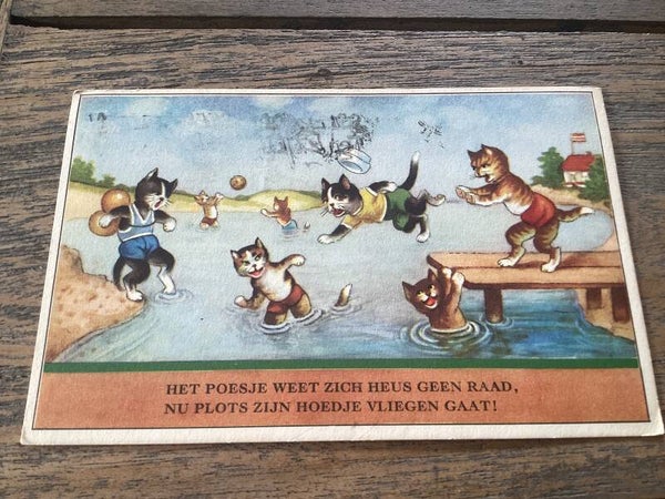 Antieke ansichtkaart poezen, 1955