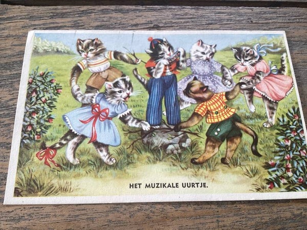 Antieke ansichtkaart poezen, 1956