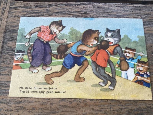 Antieke ansichtkaart poezen