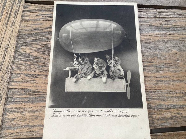 Antieke ansichtkaart poezen, onbeschreven