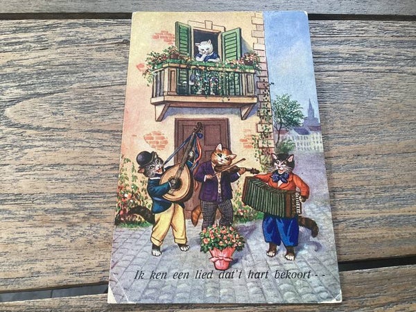 Antieke ansichtkaart poezen