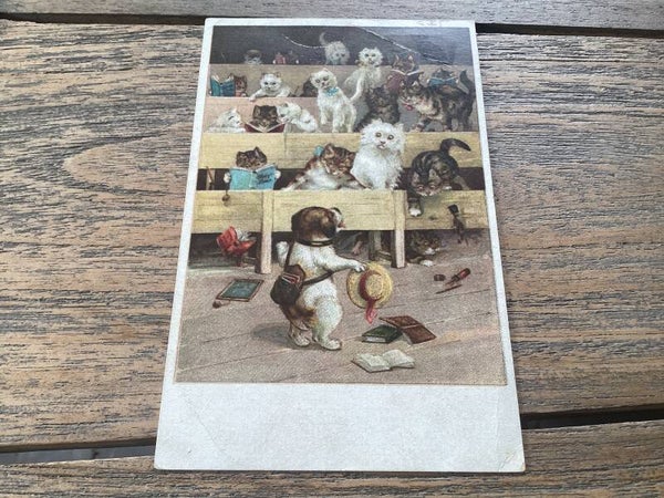 Antieke ansichtkaart poezen, 1923