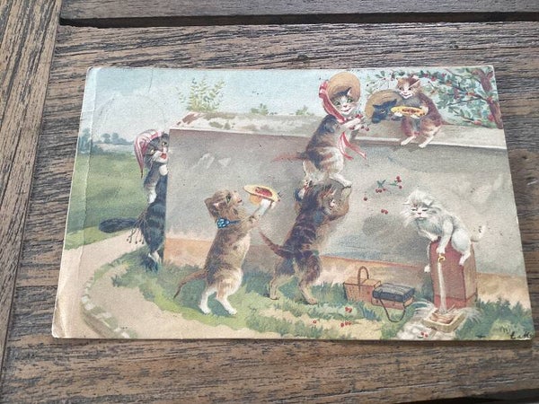 Antieke ansichtkaart poezen 1934