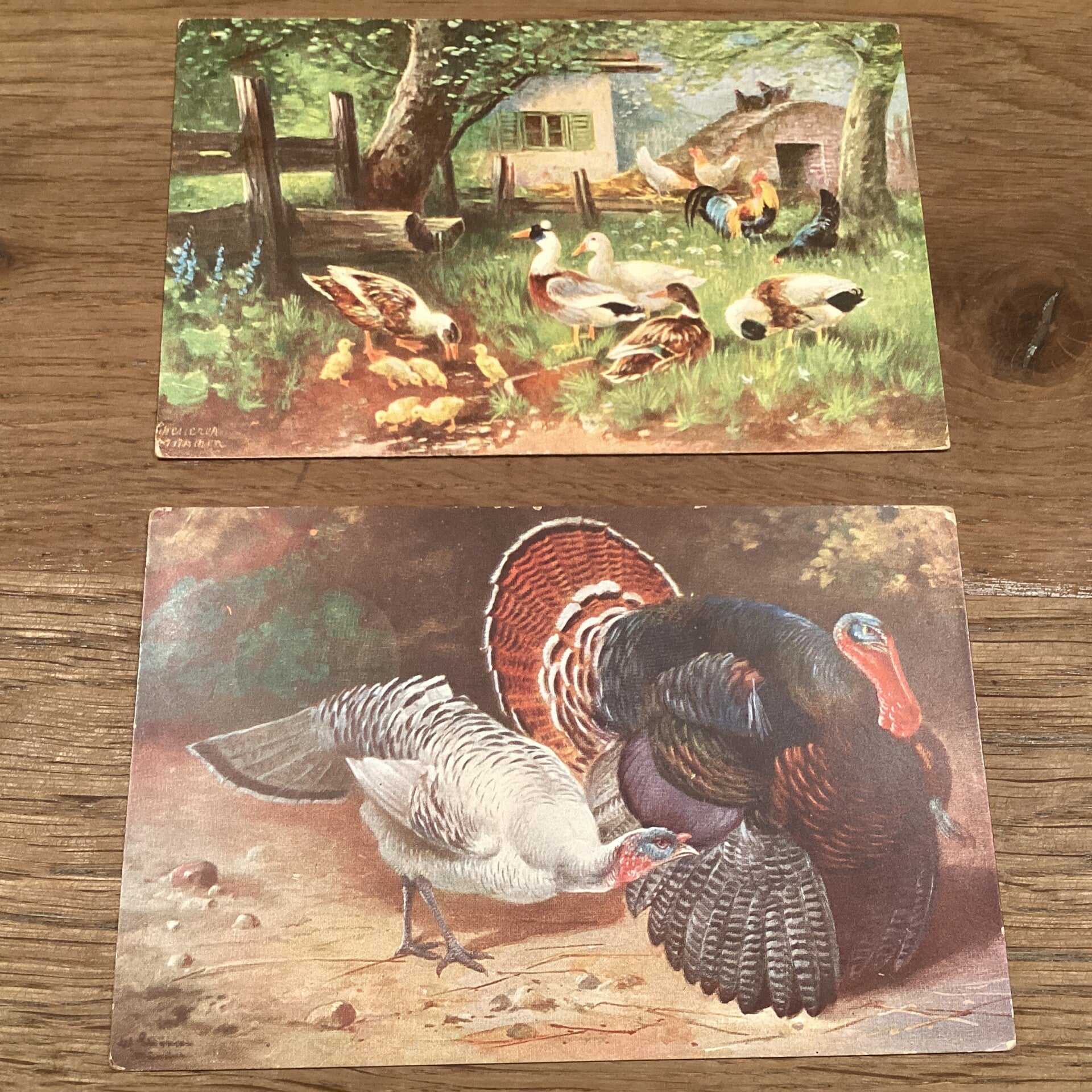 Set van 2 boerderij dieren, gevogelte, 1916