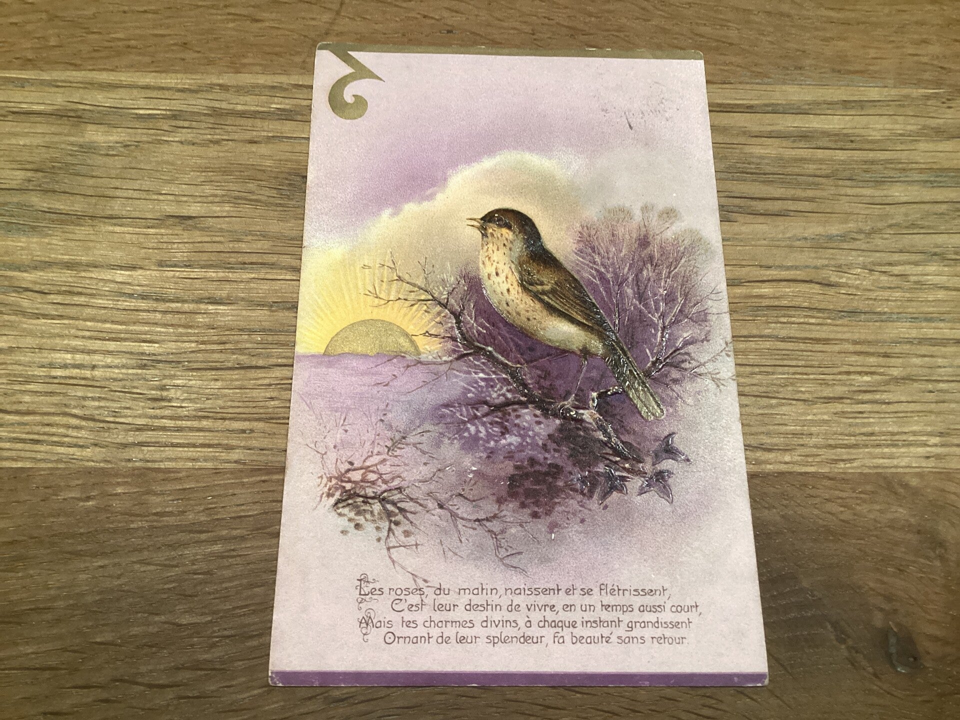 Antieke ansichtkaart begin 1900, vogel in reliëf