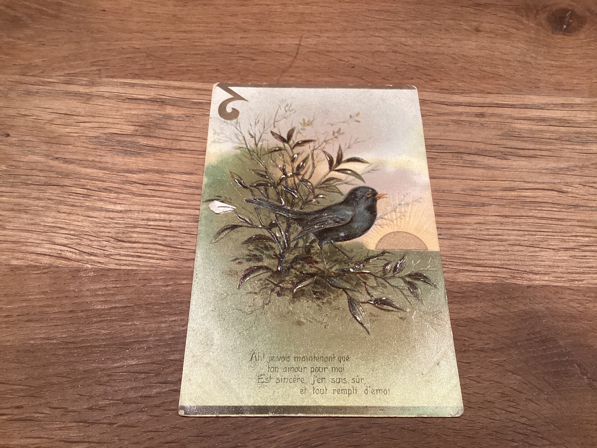 Antieke ansichtkaart, vogel in reliëf, begin 1900