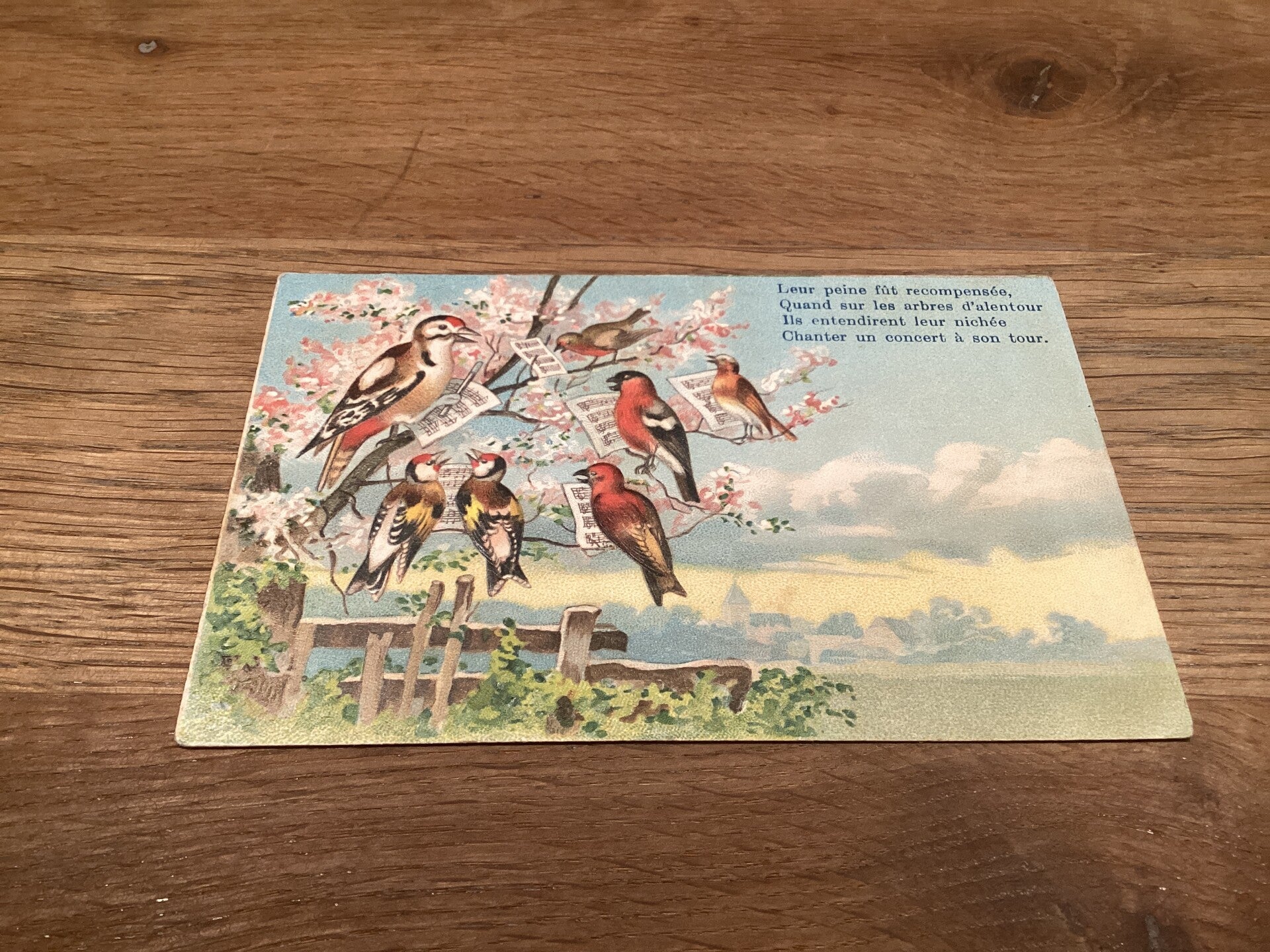 Antieke ansichtkaart vogelgezang, begin 1900, reliëf