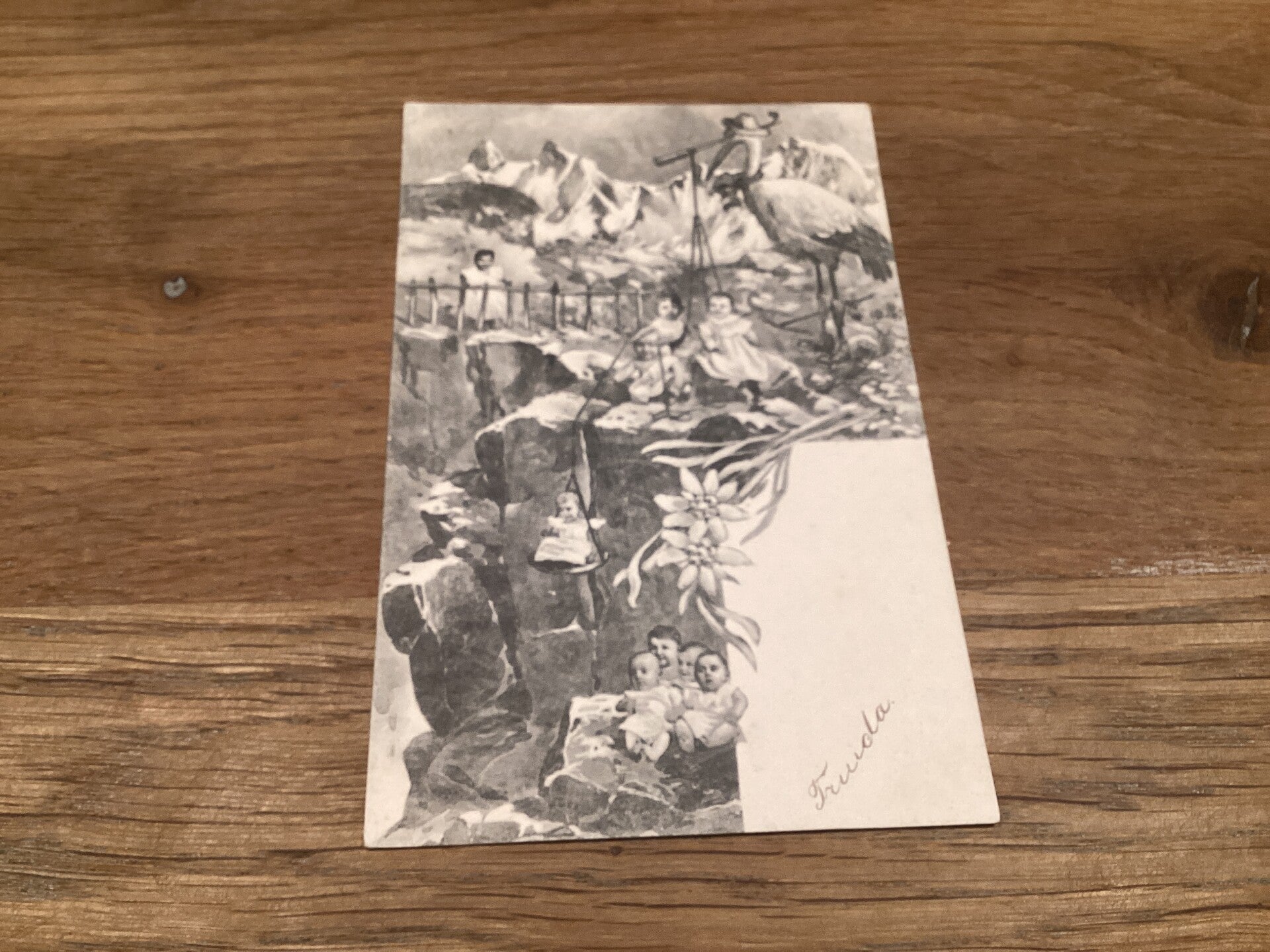 Antieke ansichtkaart met ooievaar, begin 1904