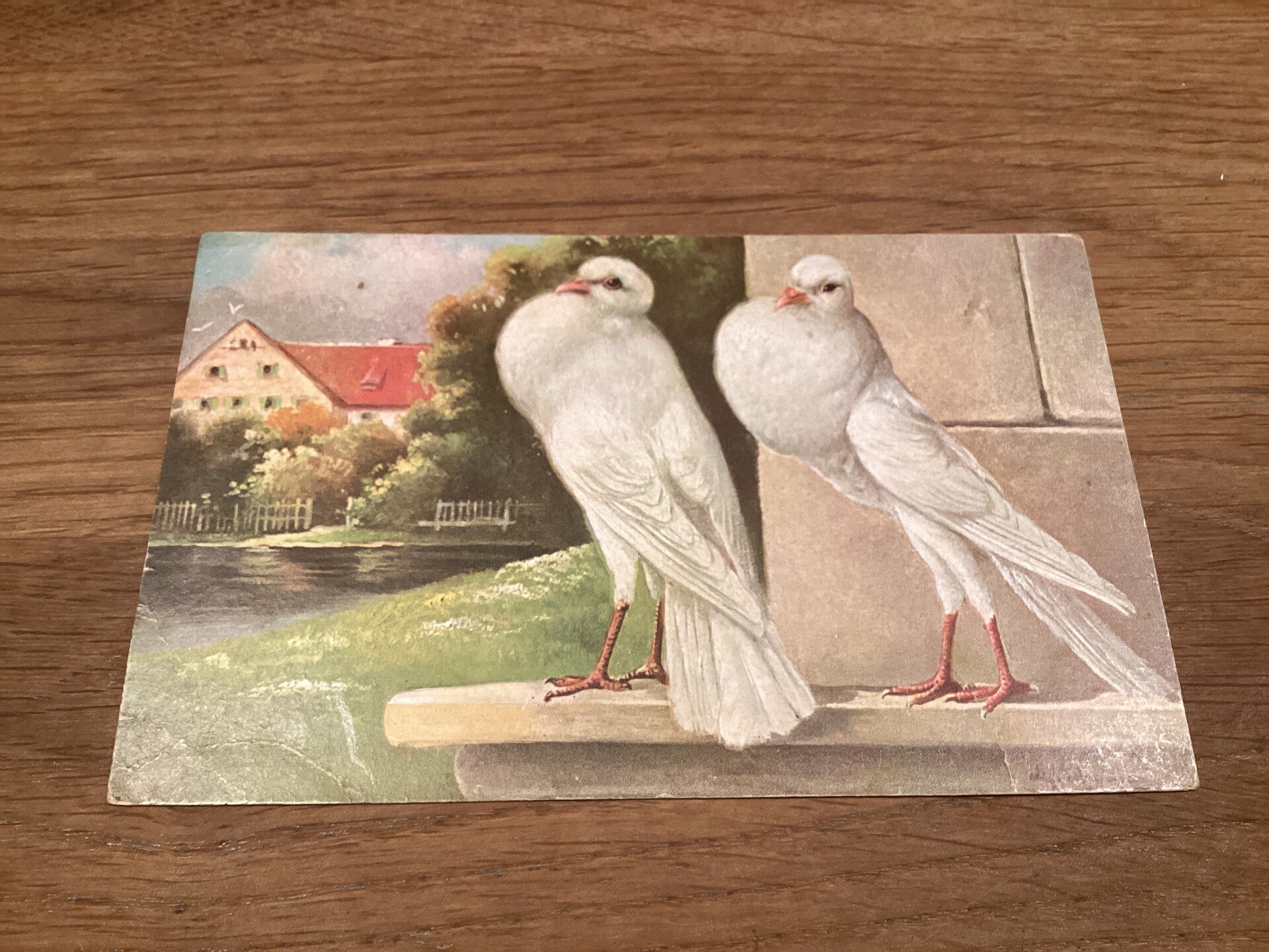 Antieke ansichtkaart met ooievaar jong, begin 1926