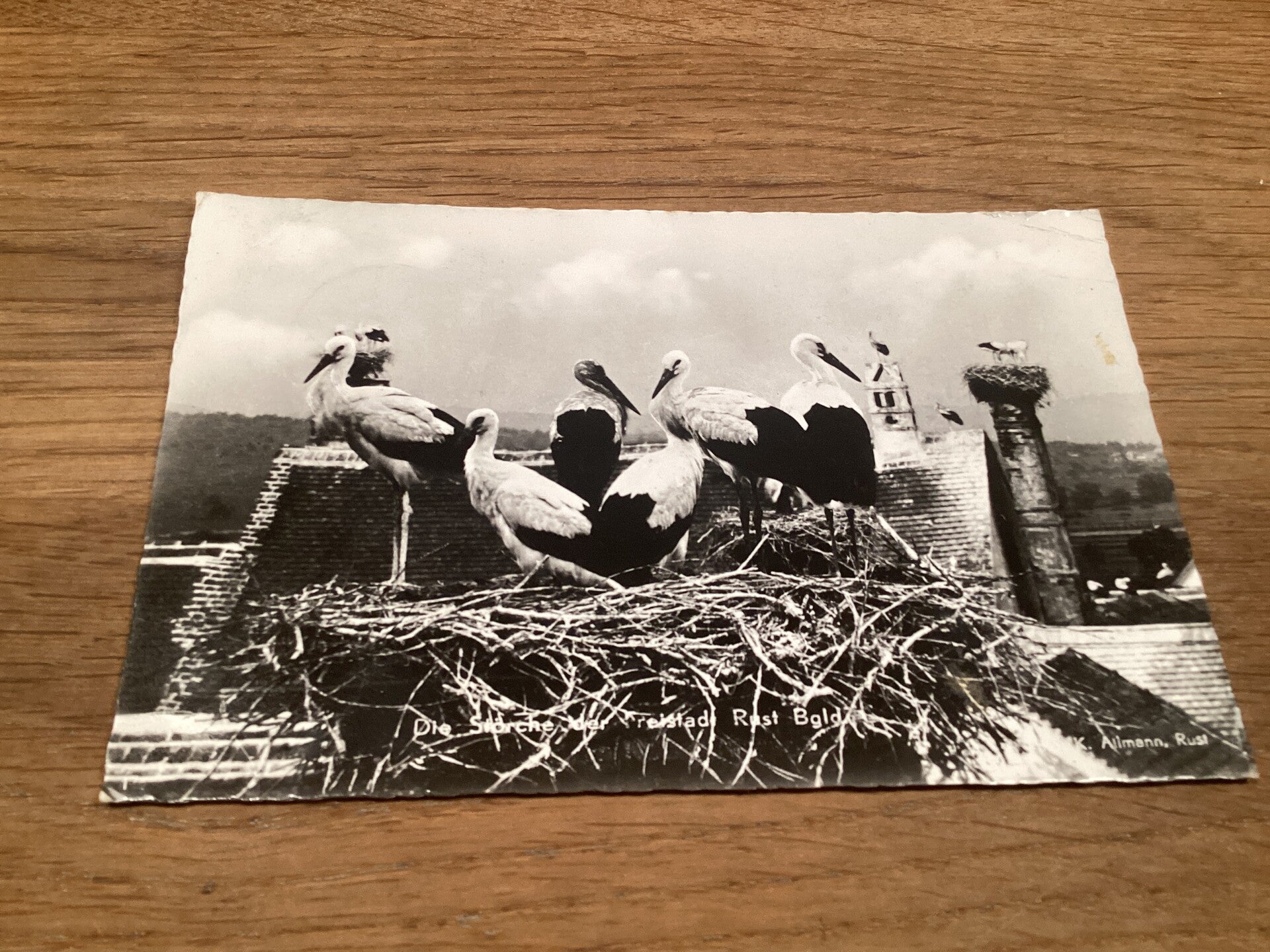 Antieke ansichtkaart met ooievaar, fotokaart