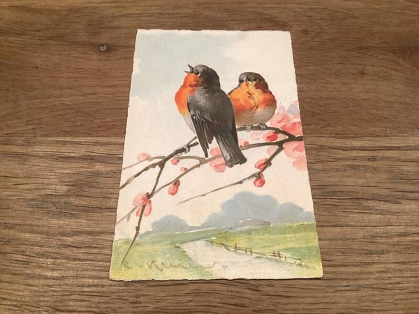 Antieke ansichtkaart vogel, 1923