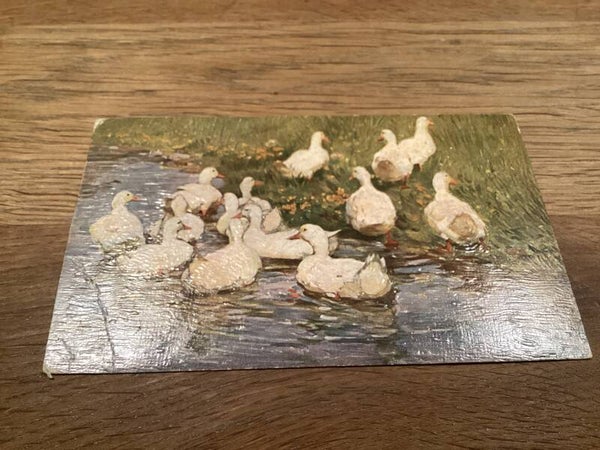 Antieke ansichtkaart eenden/ganzen, begin 1928, reliëfkaart