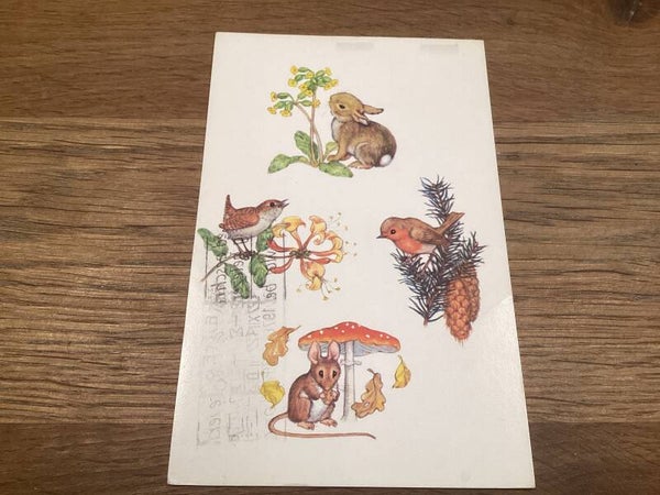 Ansichtkaart vogels, konijn, muis