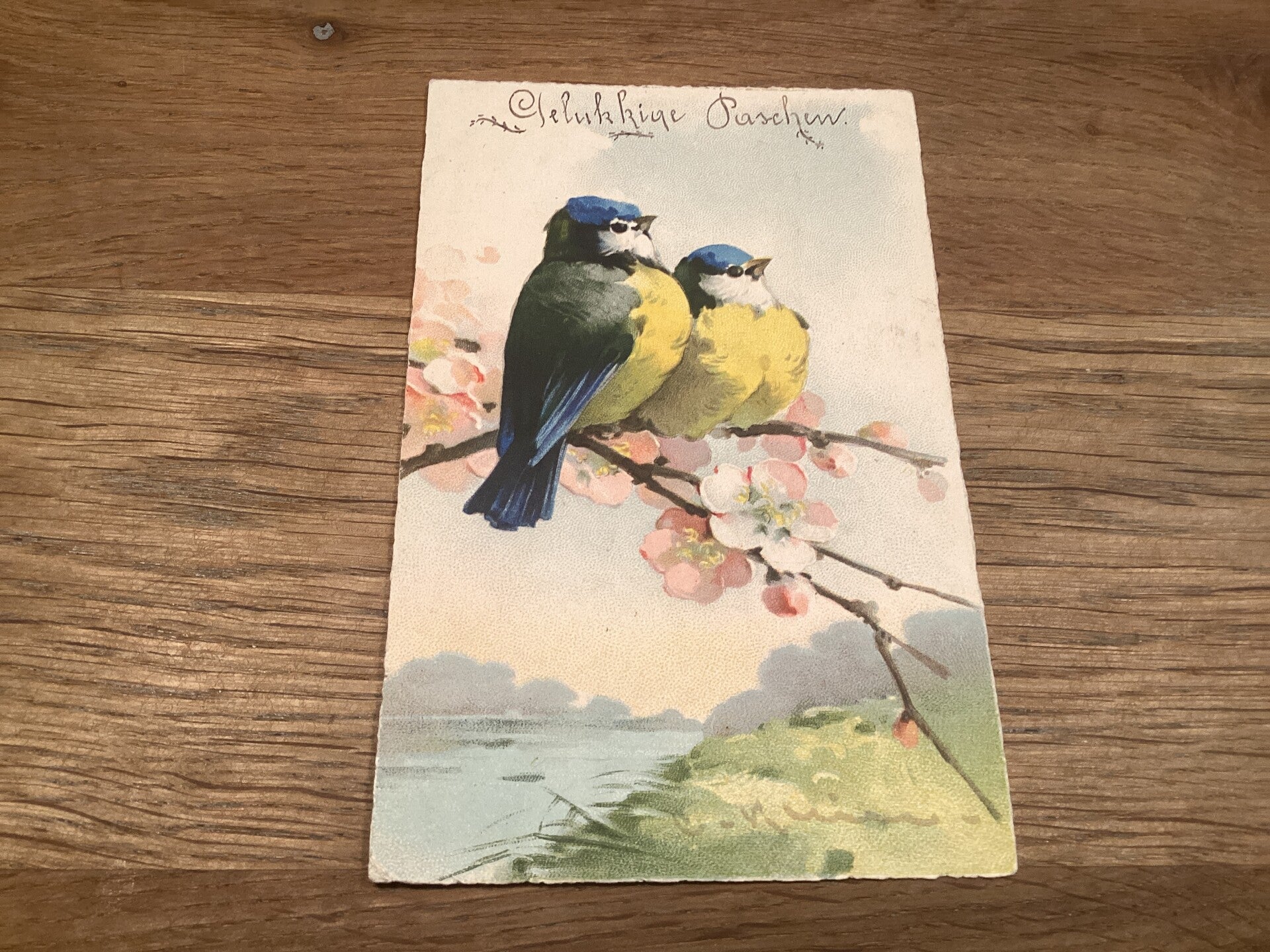 Antieke paaskaart met koolmeesjes op tak, begin 1900