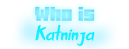 Who is Katninja?