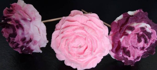 Big  Pivoine