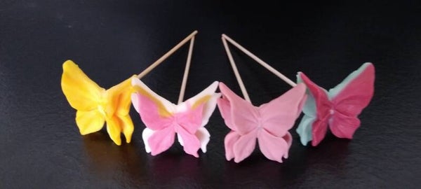 Papillon Féerique