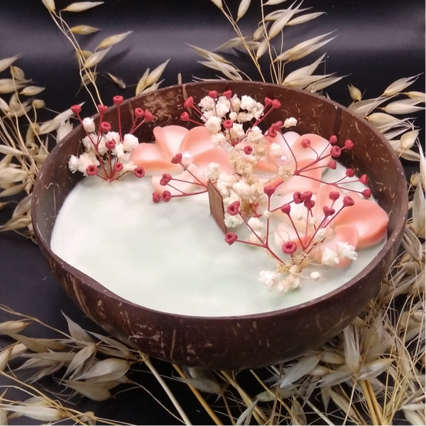 Noix  de  Coco