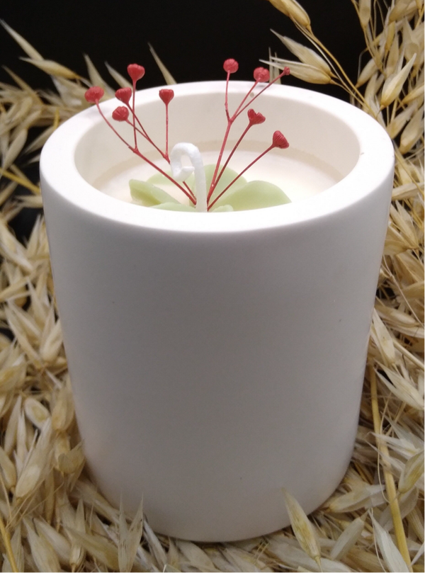 Horoscope en attente