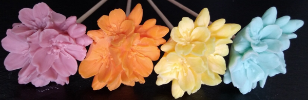 Fleurs de Pommier