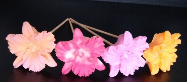 Orchidée