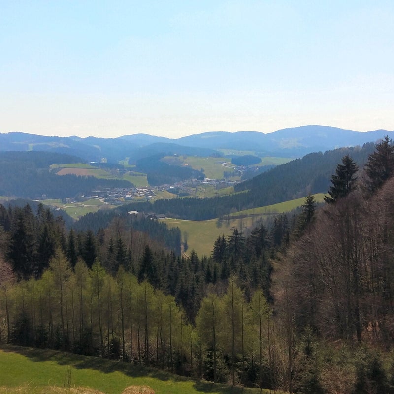 20190416_125855.jpg