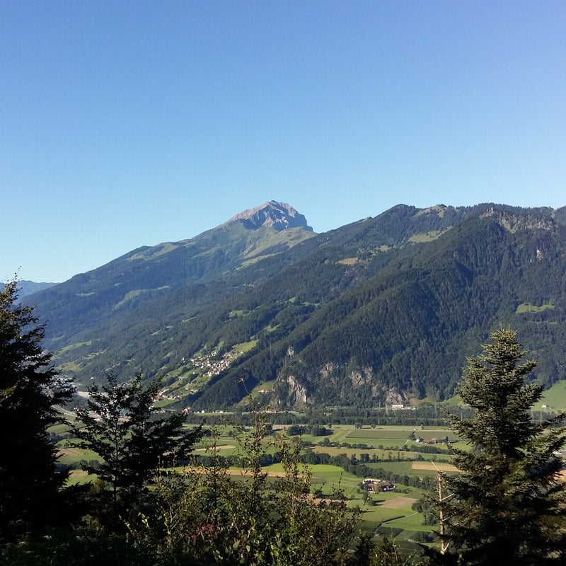20160813_084924.jpg