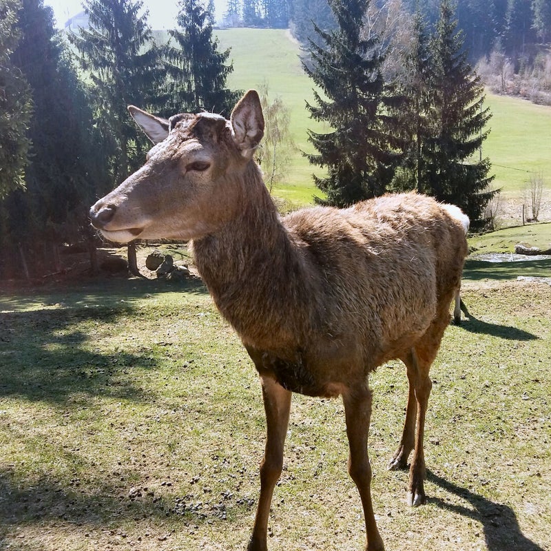 20190416_105957.jpg