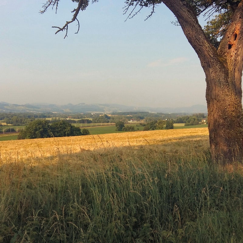 20180606_082802.jpg