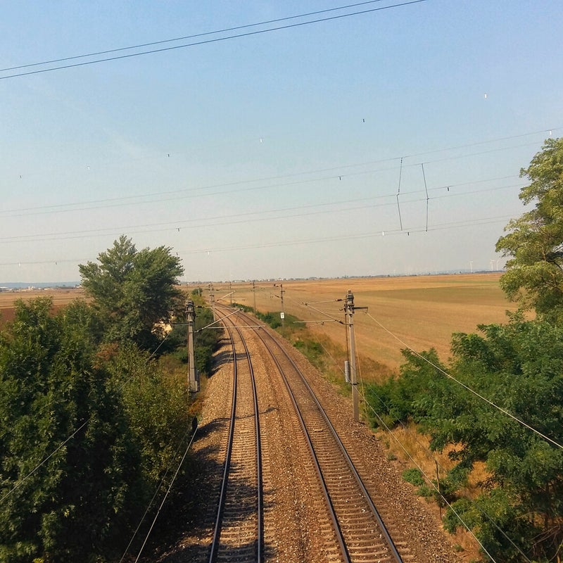20190831_121818.jpg