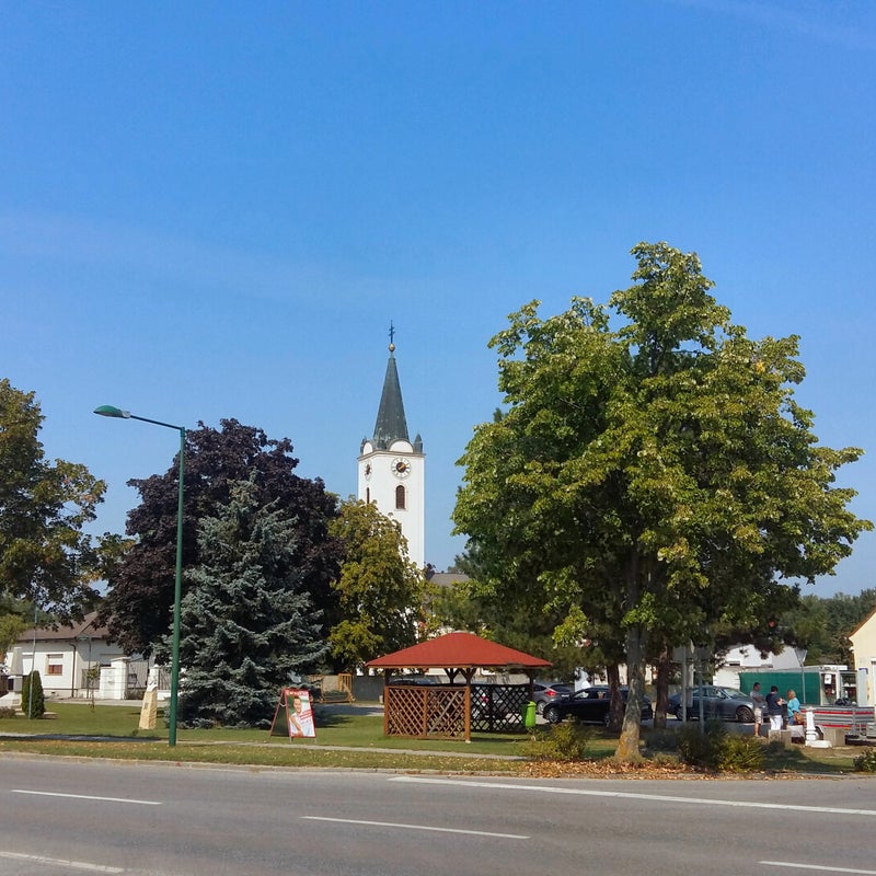 20190831_131146.jpg
