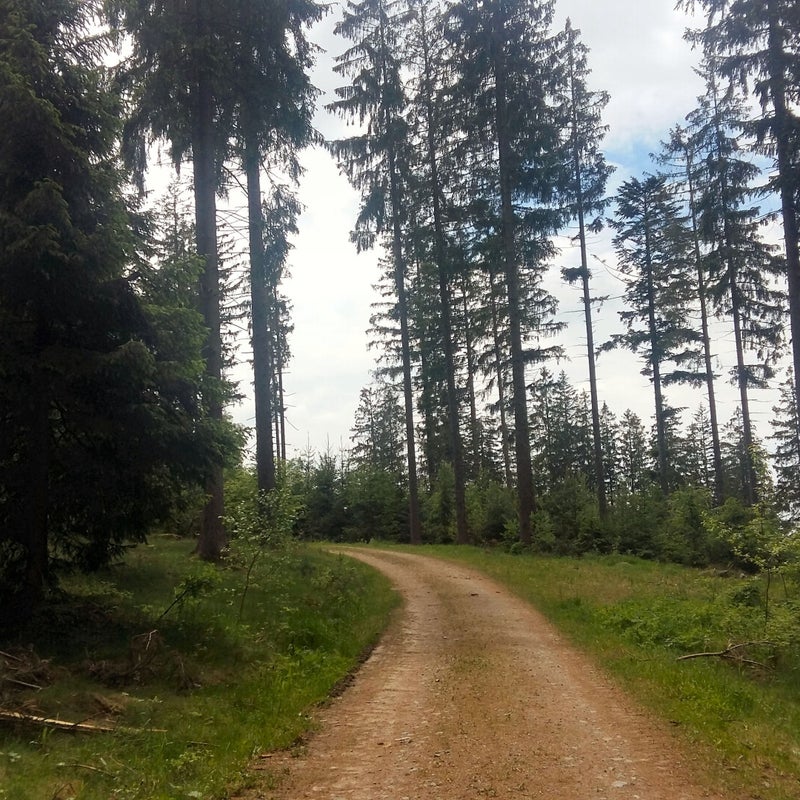 20190531_130507.jpg