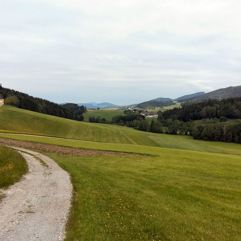 20190531_104630.jpg