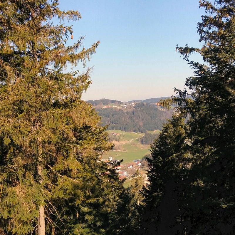 20190416_103354.jpg