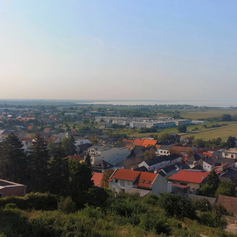 20190831_091524.jpg