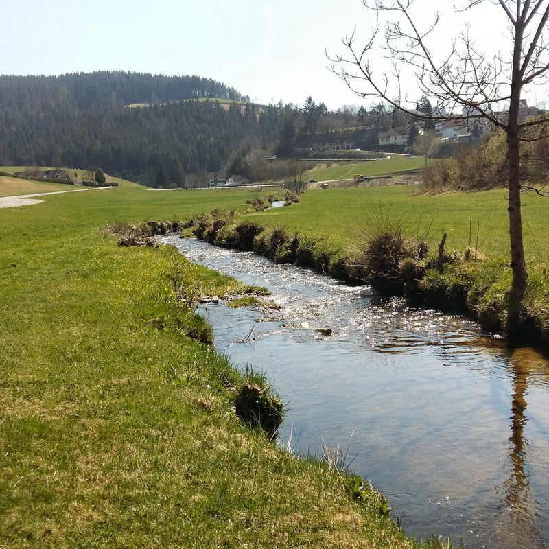20190416_132120.jpg